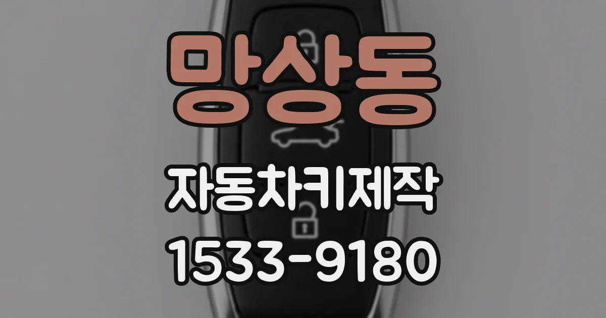 망상동 자동차키제작