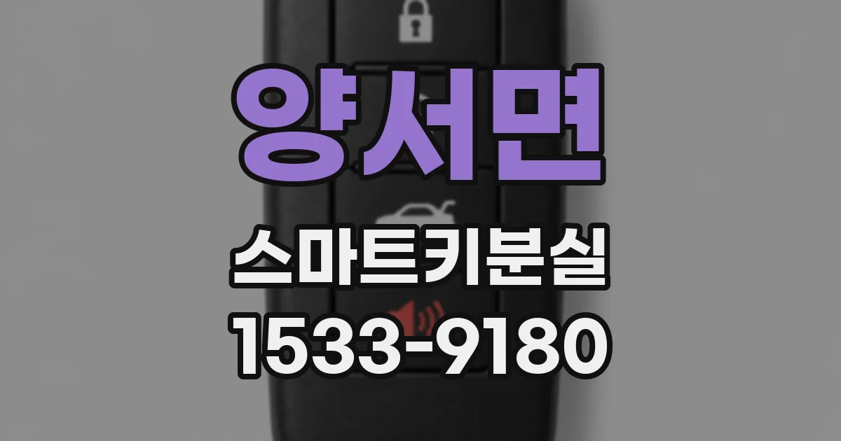 양서면 스마트키분실