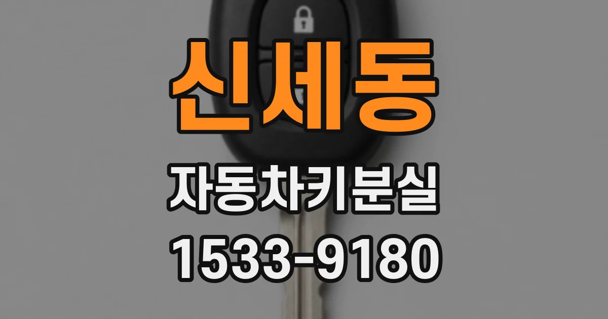 신세동 자동차키분실