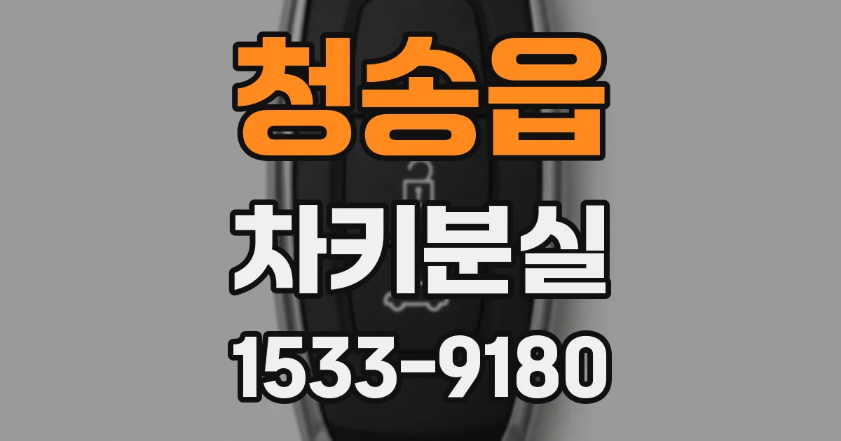 청송읍 차키분실