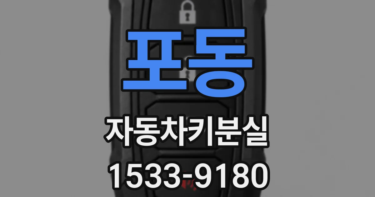 포동 자동차키분실