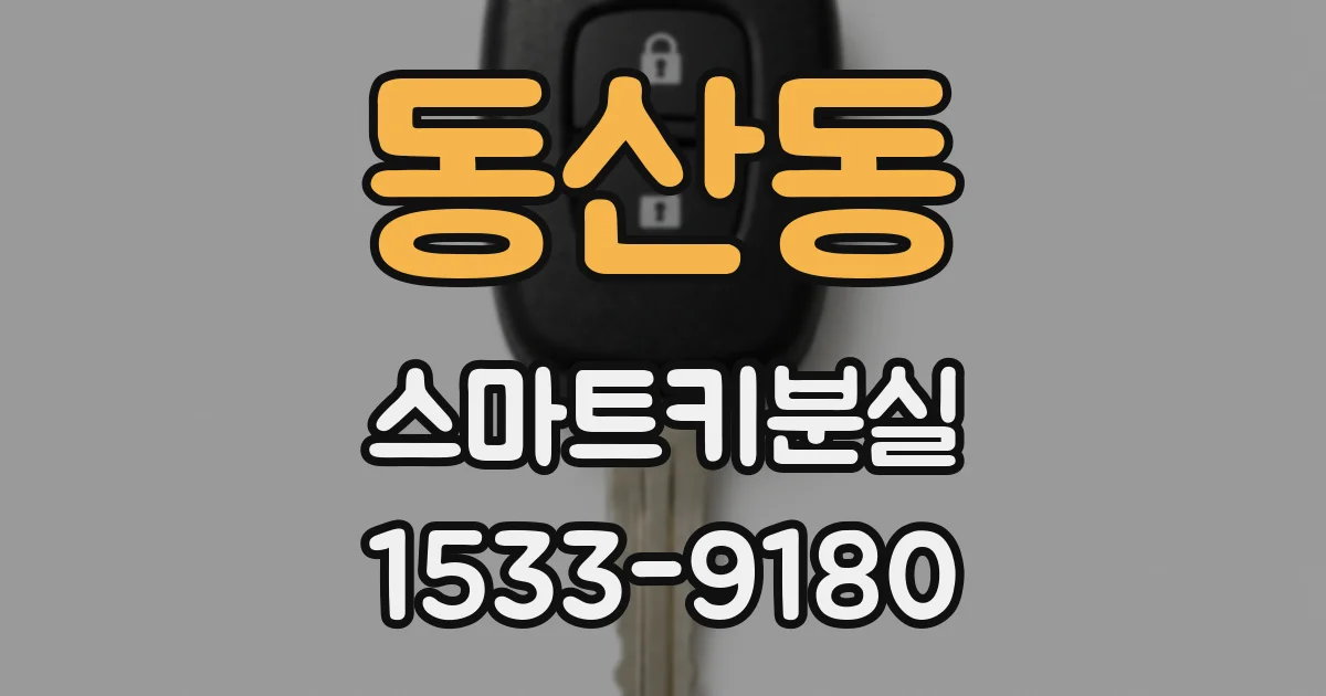 동산동 스마트키분실