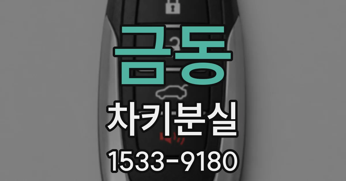 금동 차키분실