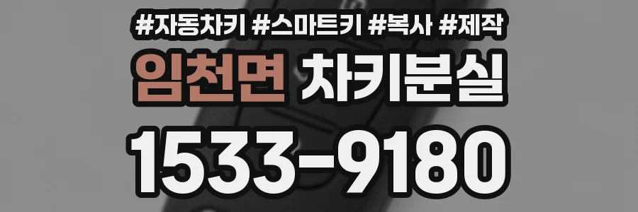 임천면 차키분실