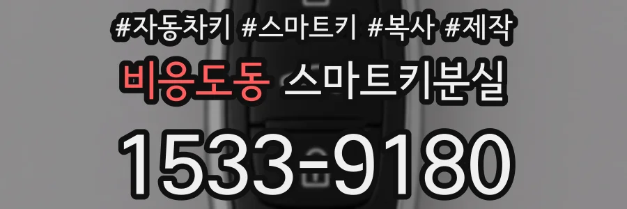 비응도동 스마트키분실