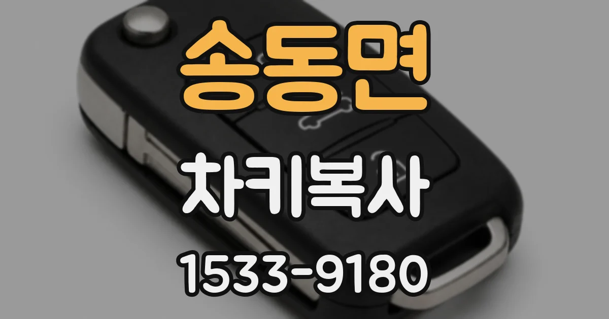송동면 차키복사