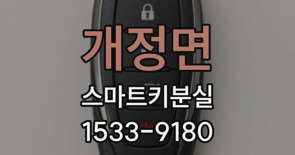 개정면 스마트키분실