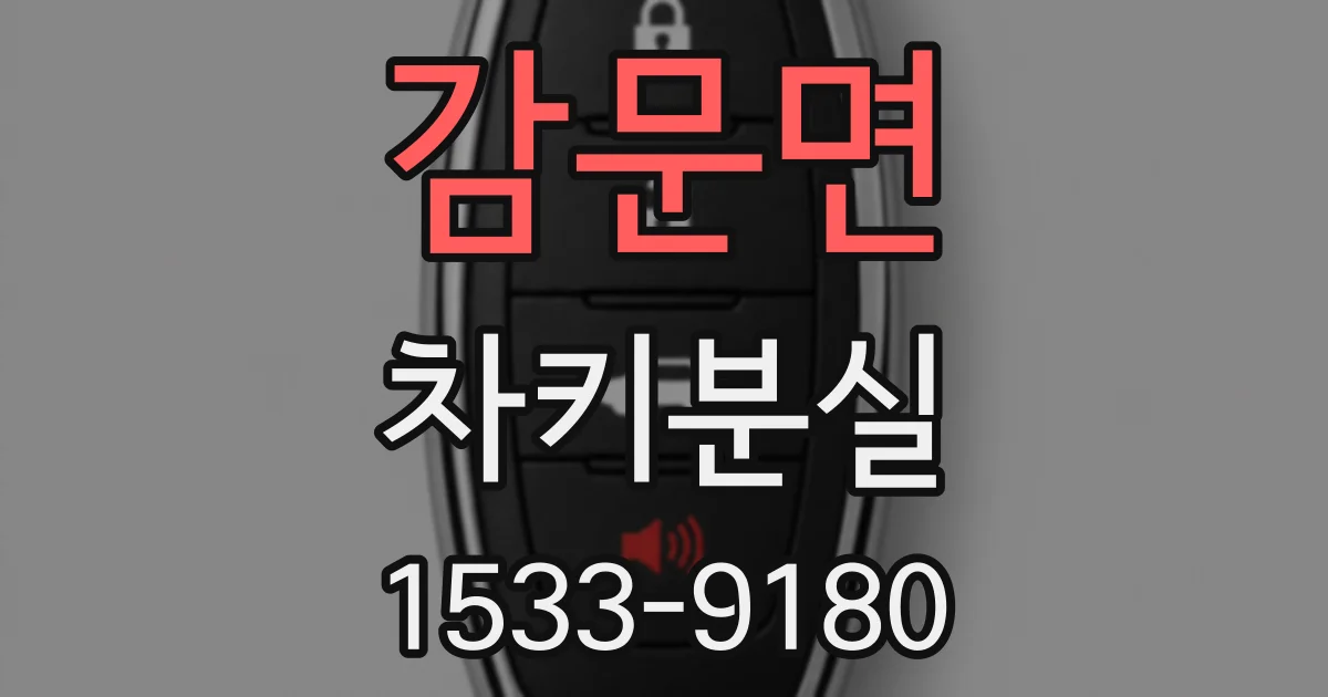 감문면 차키분실