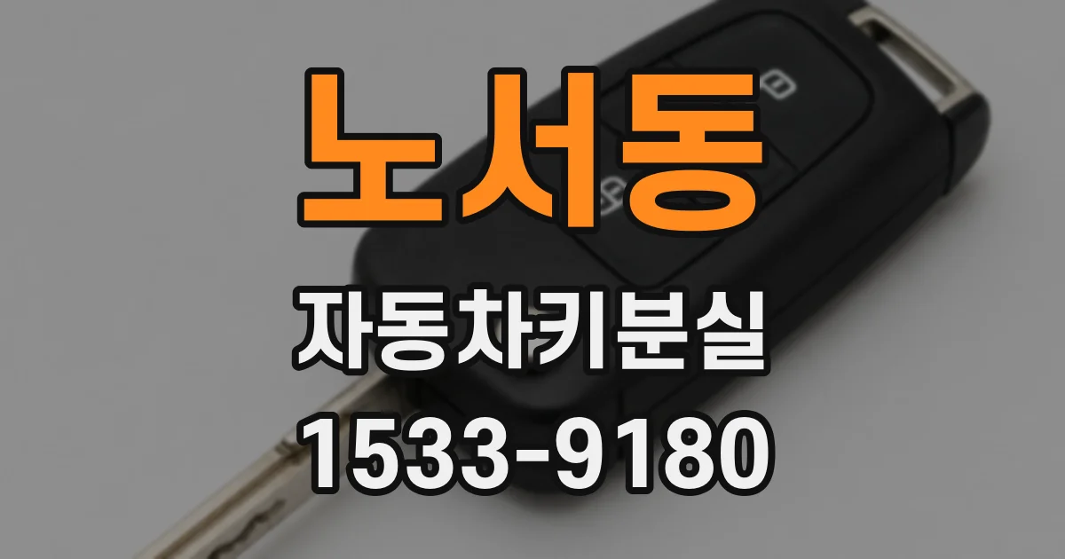 노서동 자동차키분실