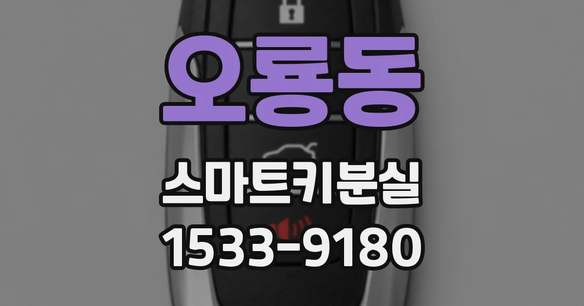 오룡동 스마트키분실