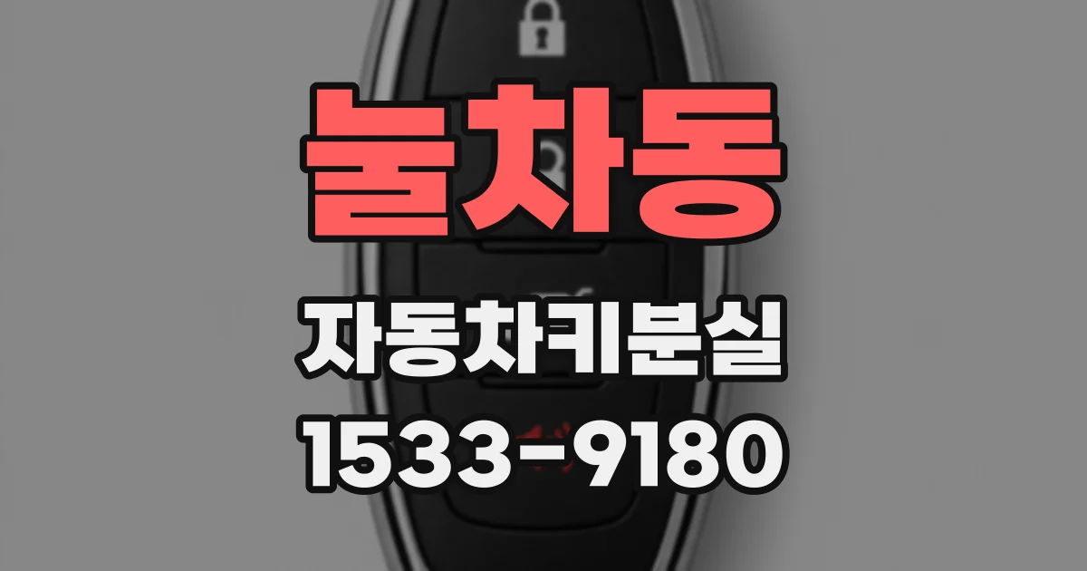 눌차동 자동차키분실