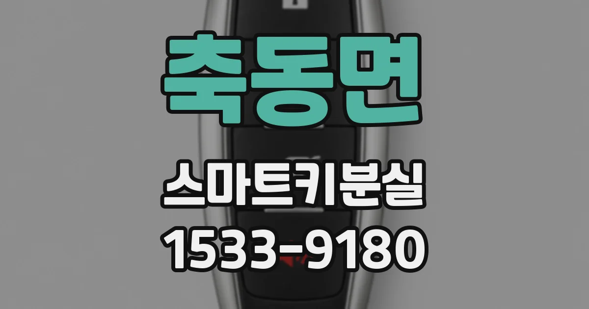 축동면 스마트키분실