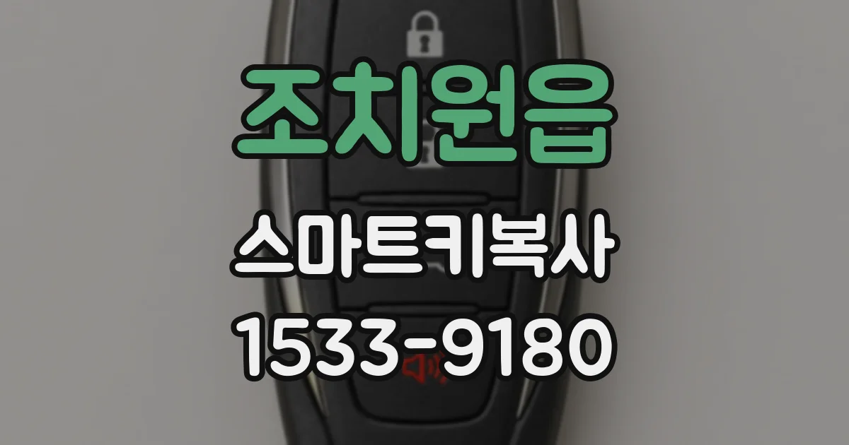 조치원읍 스마트키복사