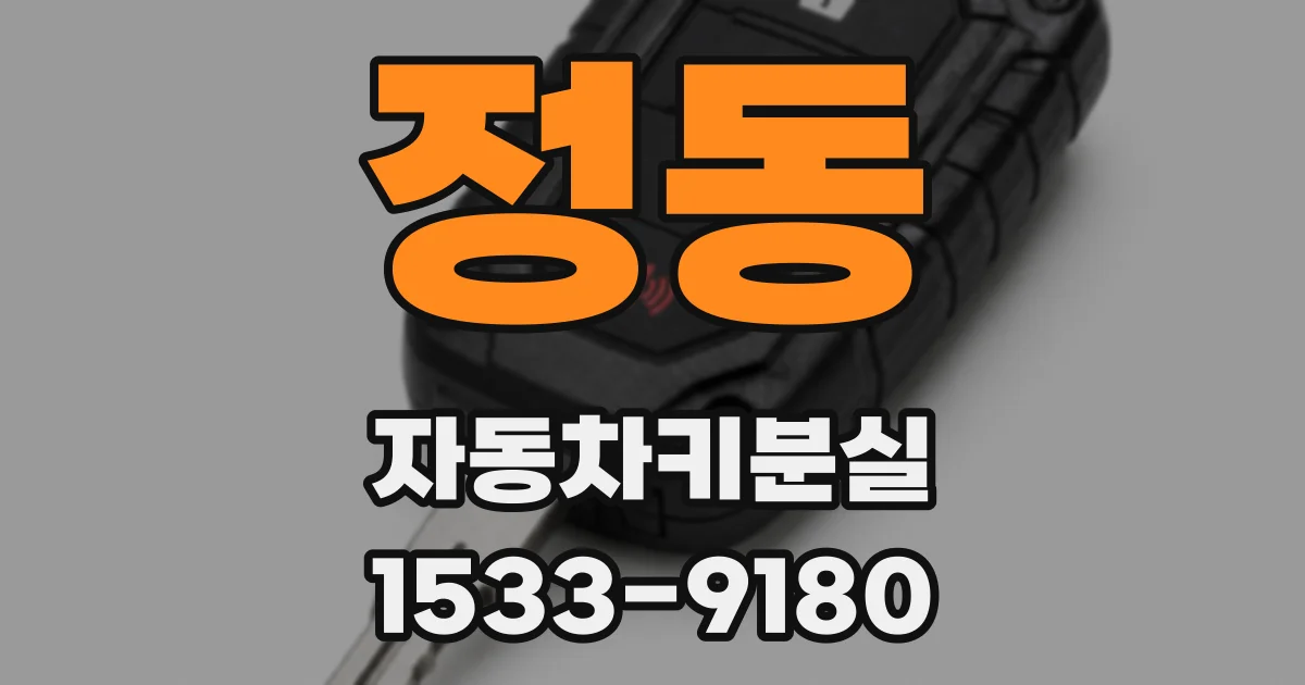 정동 자동차키분실