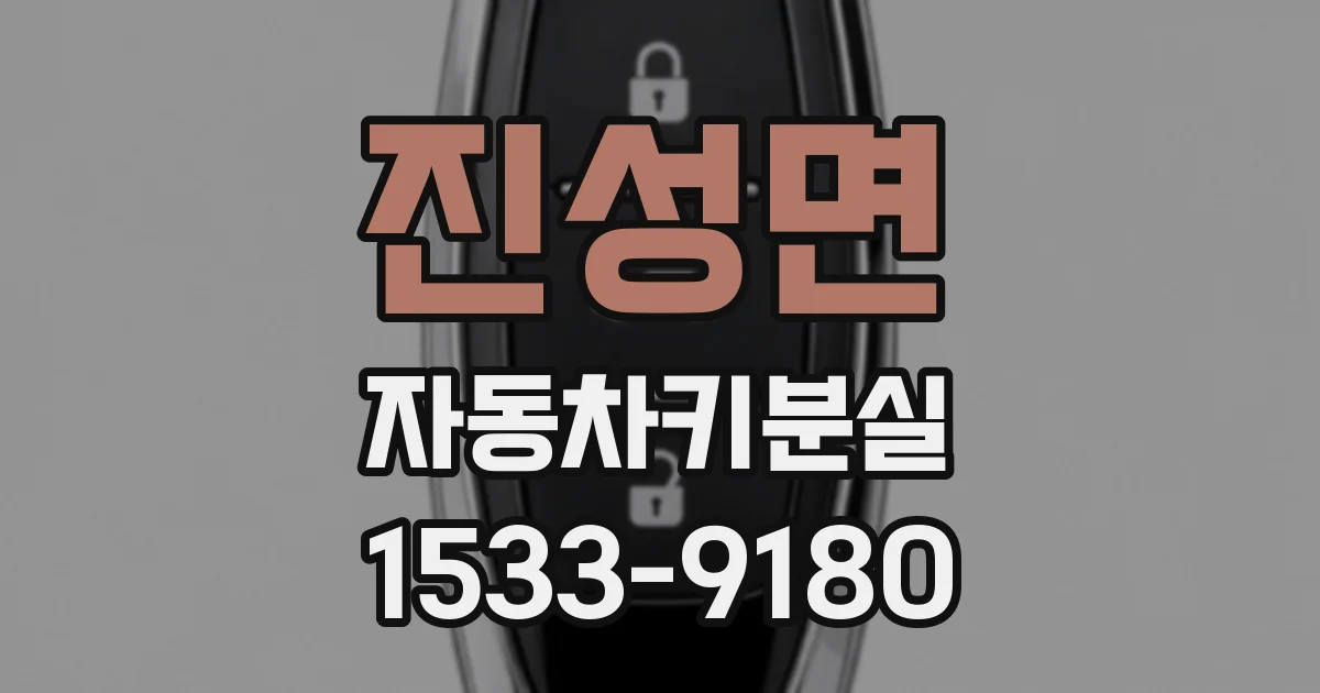 진성면 자동차키분실