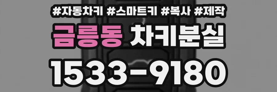 금릉동 차키분실