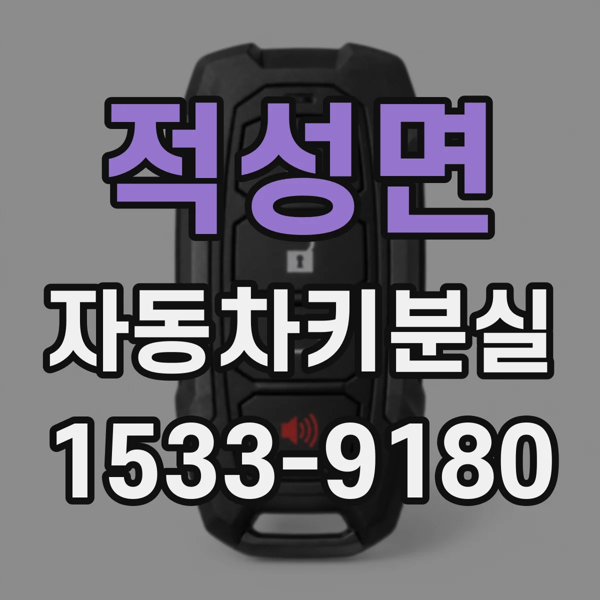 적성면 자동차키분실
