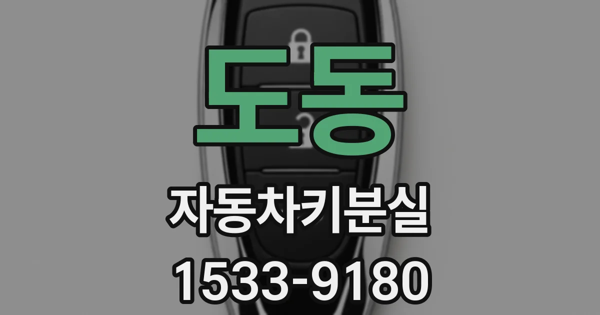 도동 자동차키분실