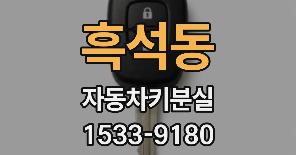 흑석동 자동차키분실