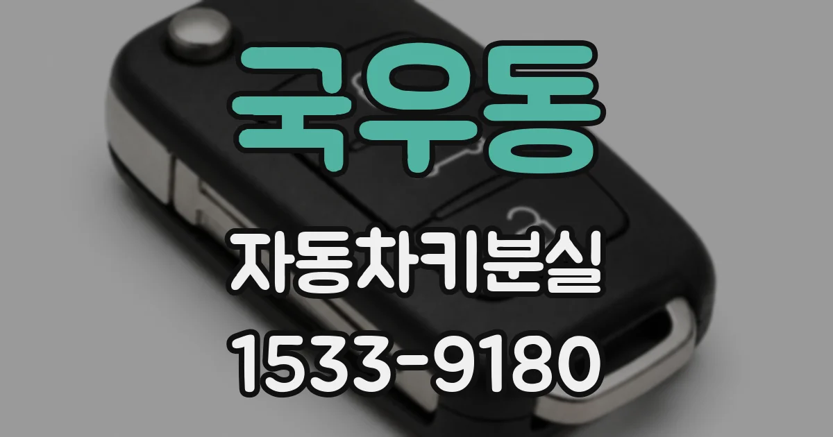 국우동 자동차키분실