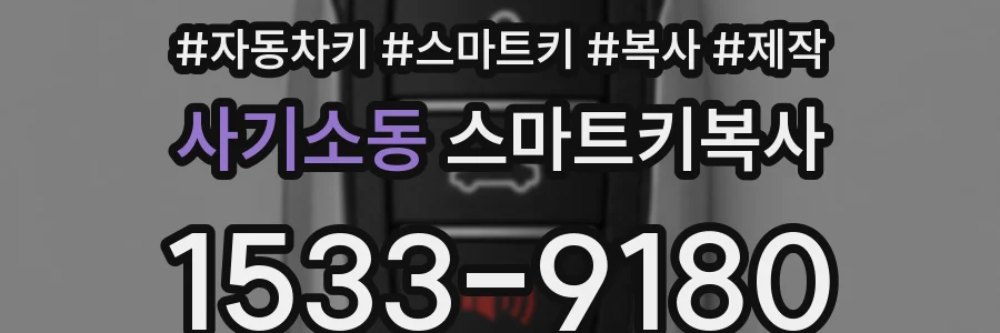 사기소동 스마트키복사