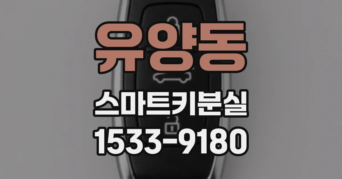 유양동 스마트키분실