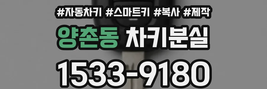 양촌동 차키분실