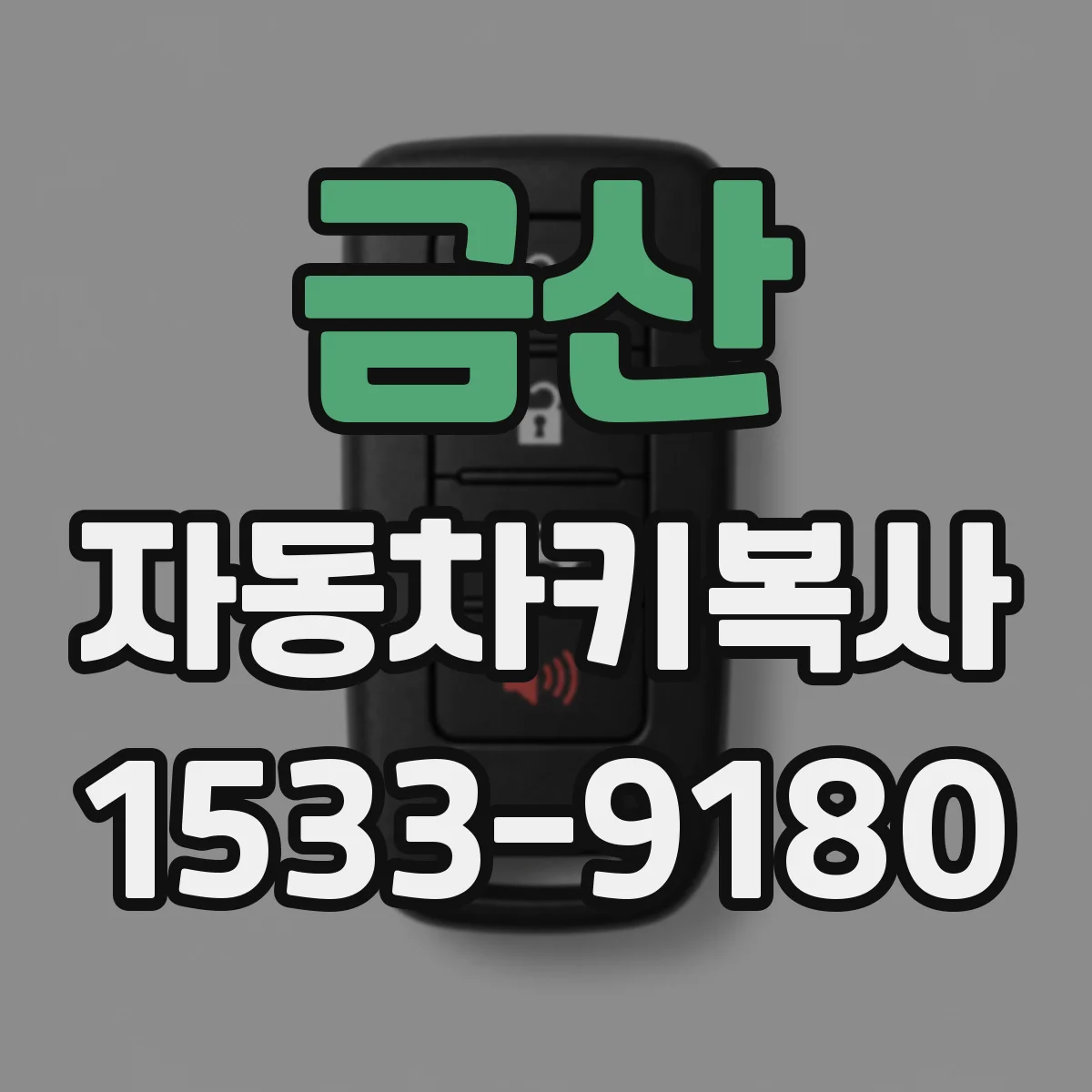 금산 자동차키복사