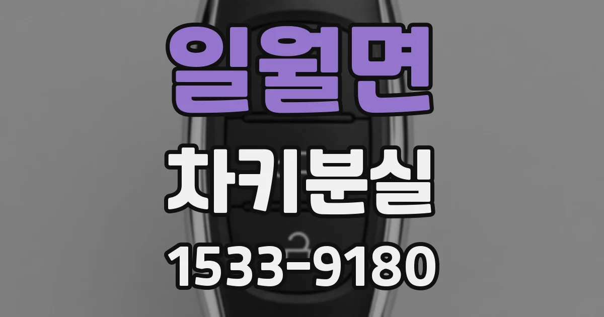 일월면 차키분실