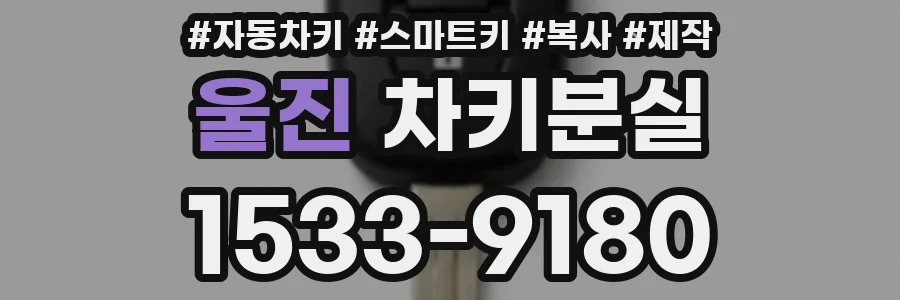 울진 차키분실