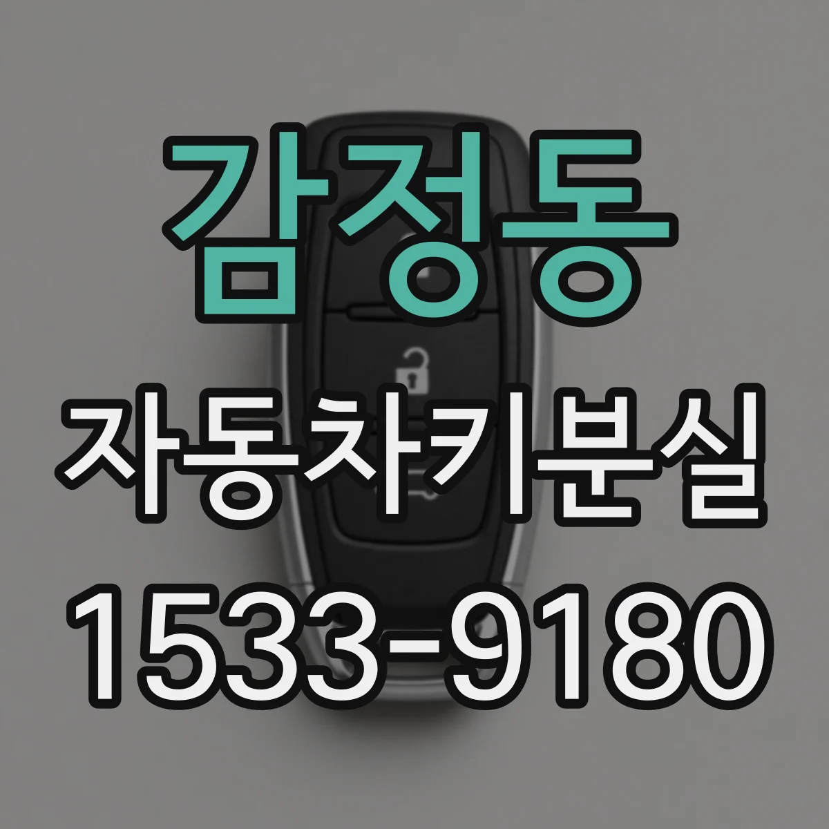 감정동 자동차키분실