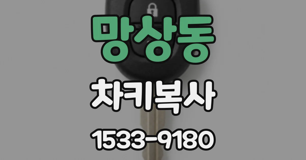 망상동 차키복사
