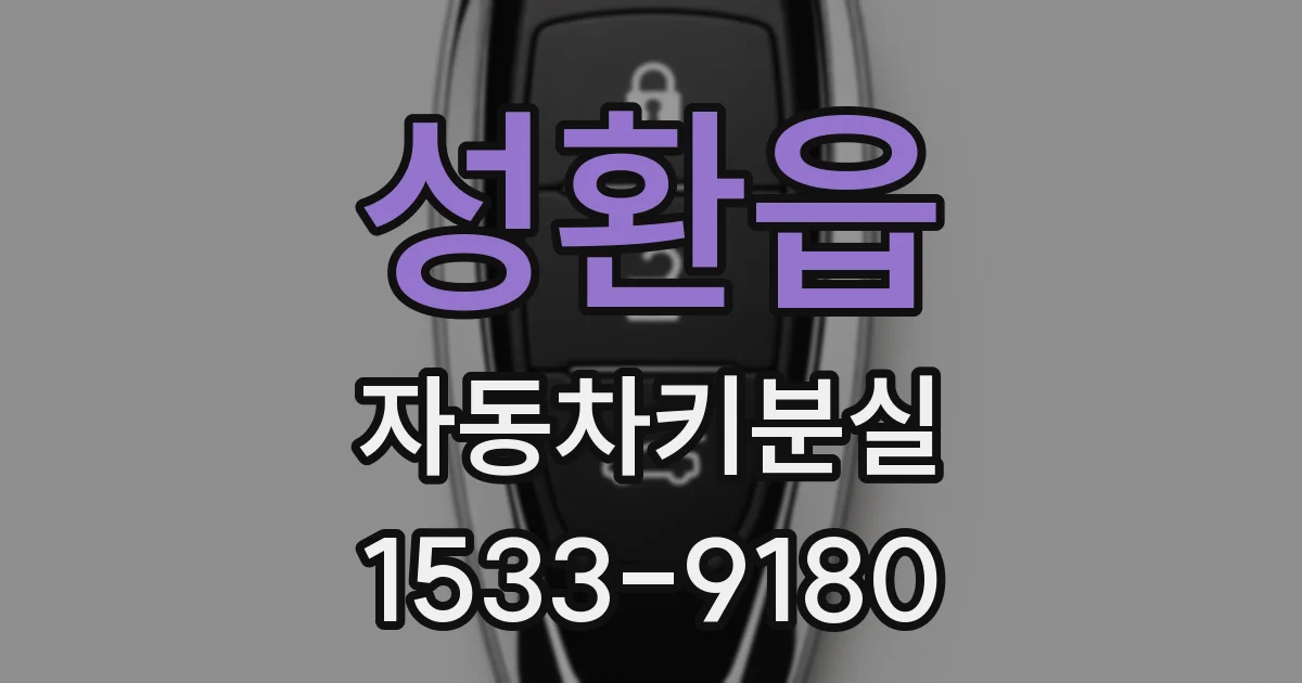 성환읍 자동차키분실