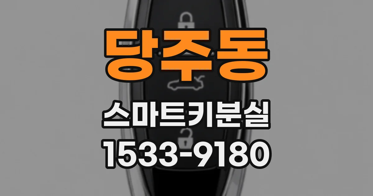 당주동 스마트키분실