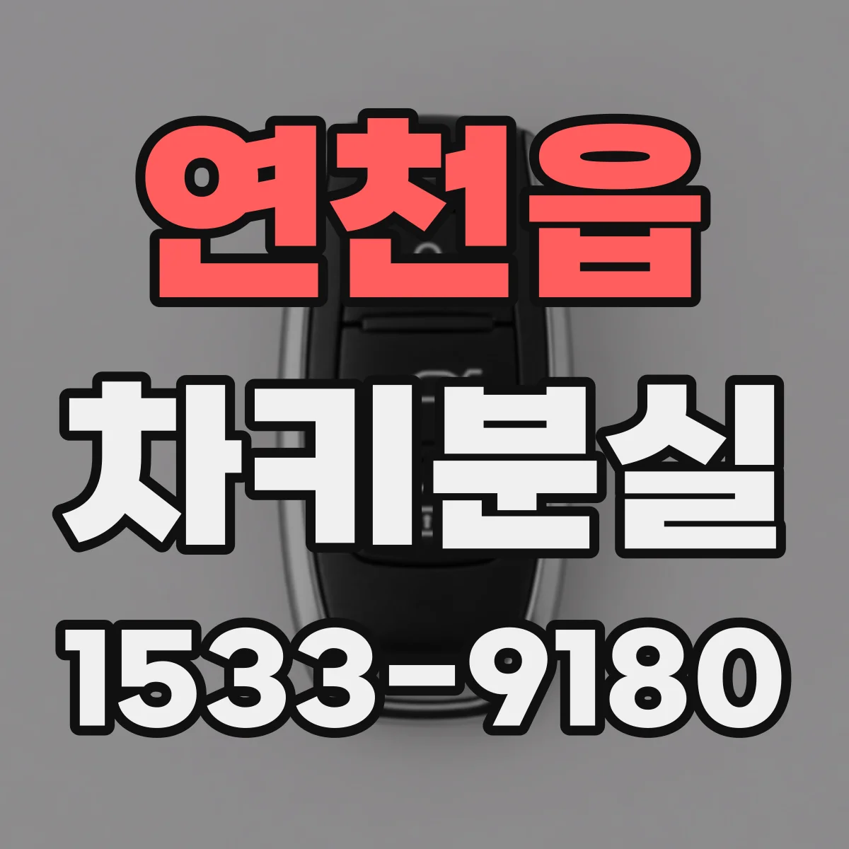 연천읍 차키분실