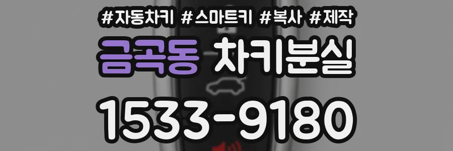 금곡동 차키분실