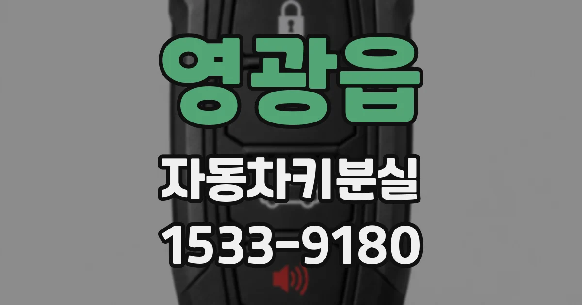 영광읍 자동차키분실