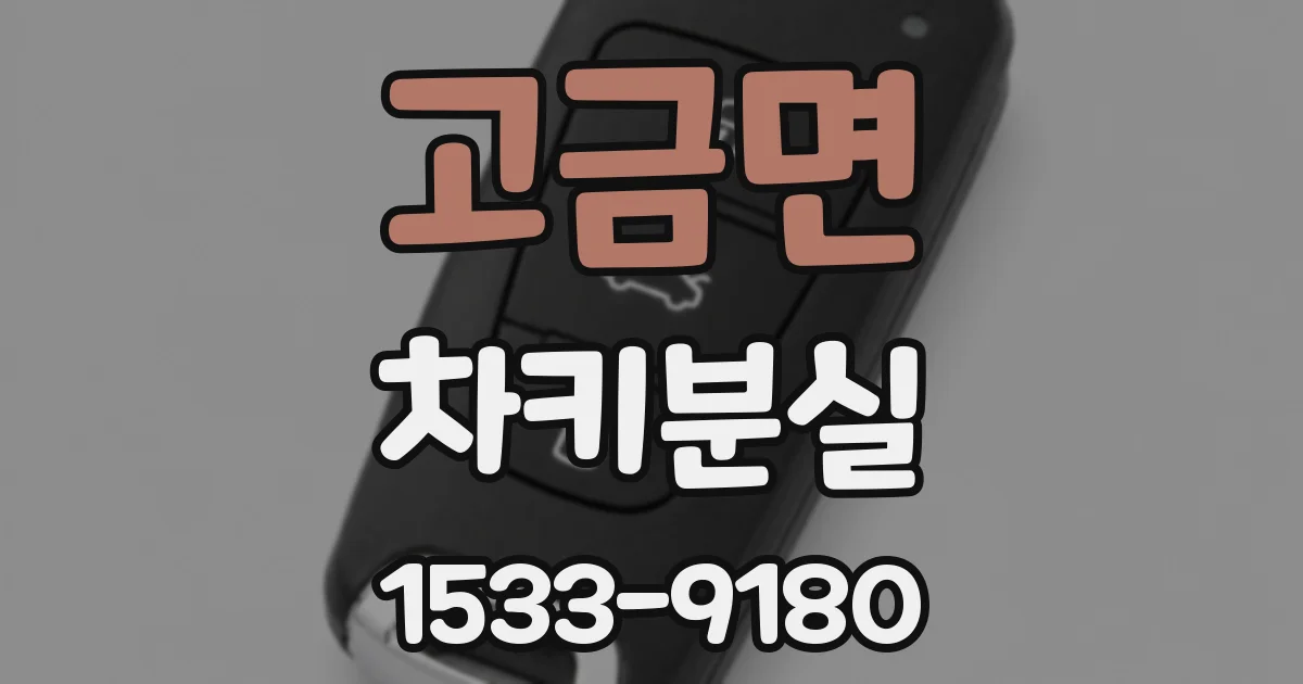 고금면 차키분실