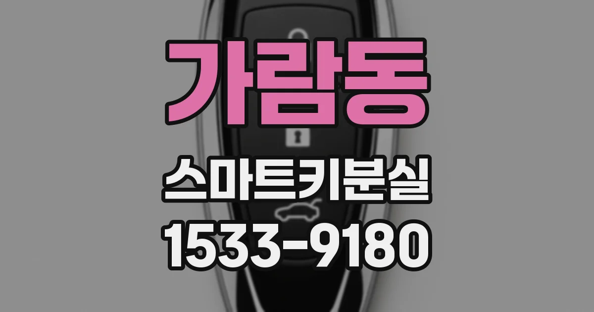 가람동 스마트키분실