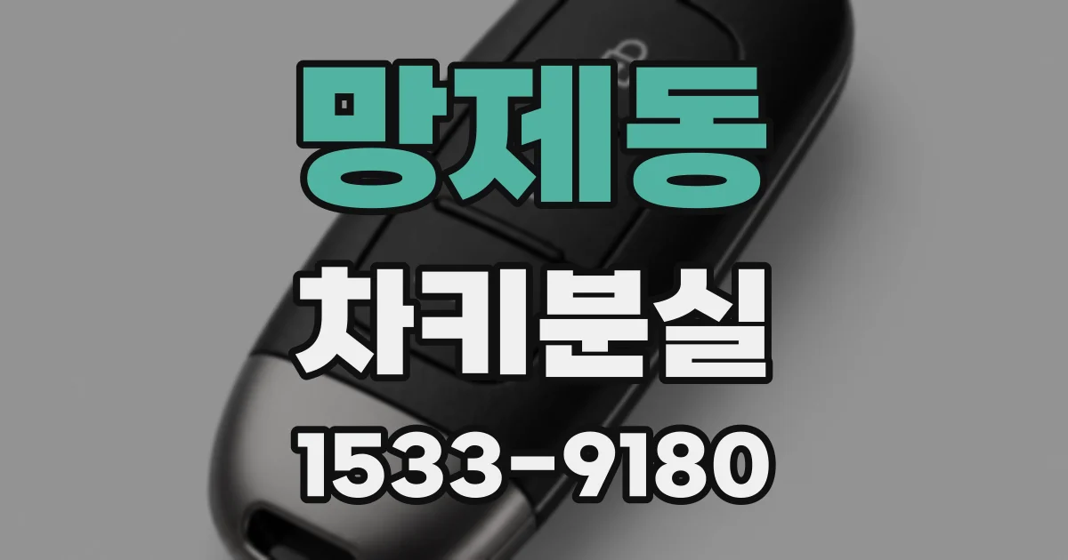 망제동 차키분실