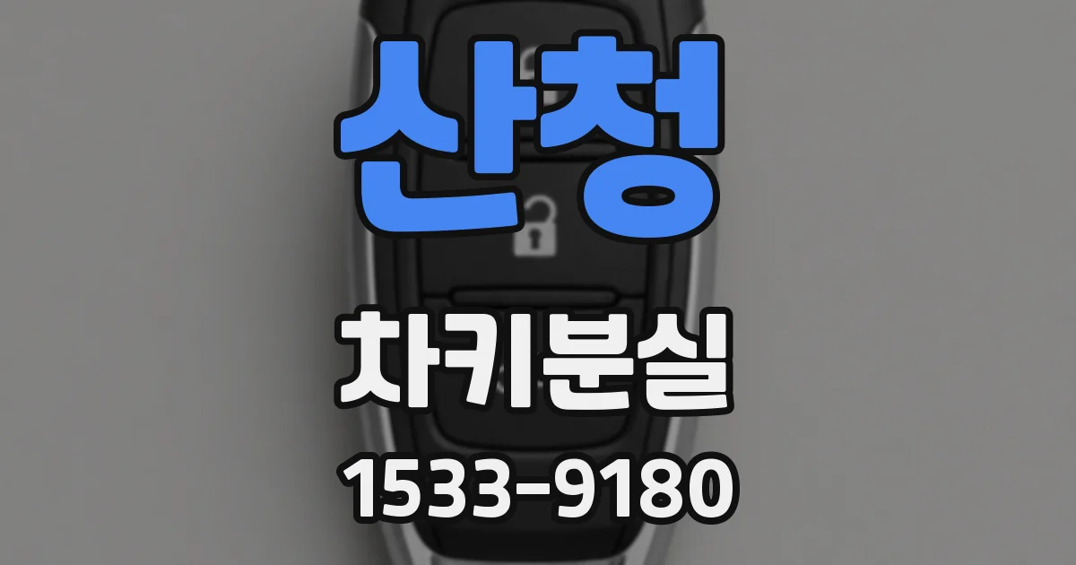산청 차키분실