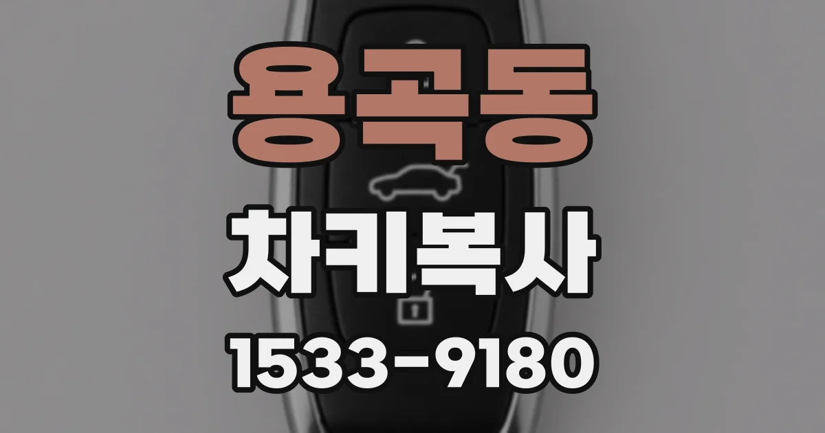 용곡동 차키복사