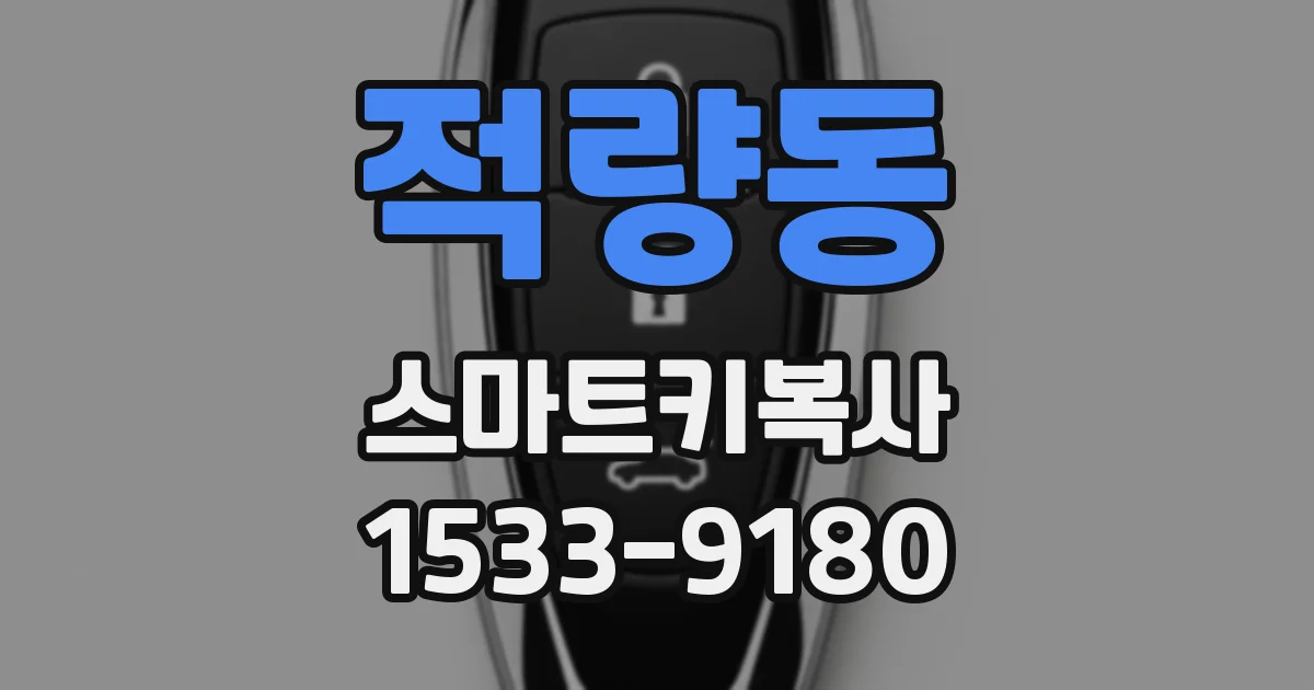 적량동 스마트키복사