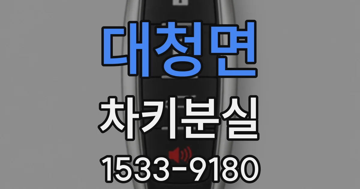 대청면 차키분실