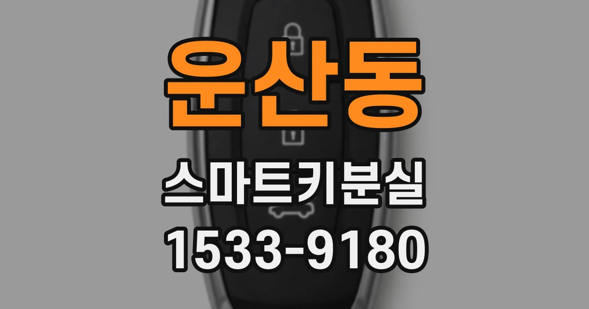 운산동 스마트키분실