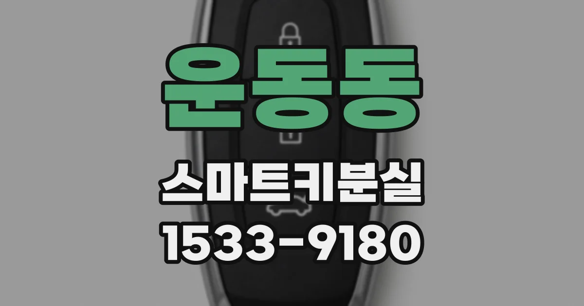 운동동 스마트키분실