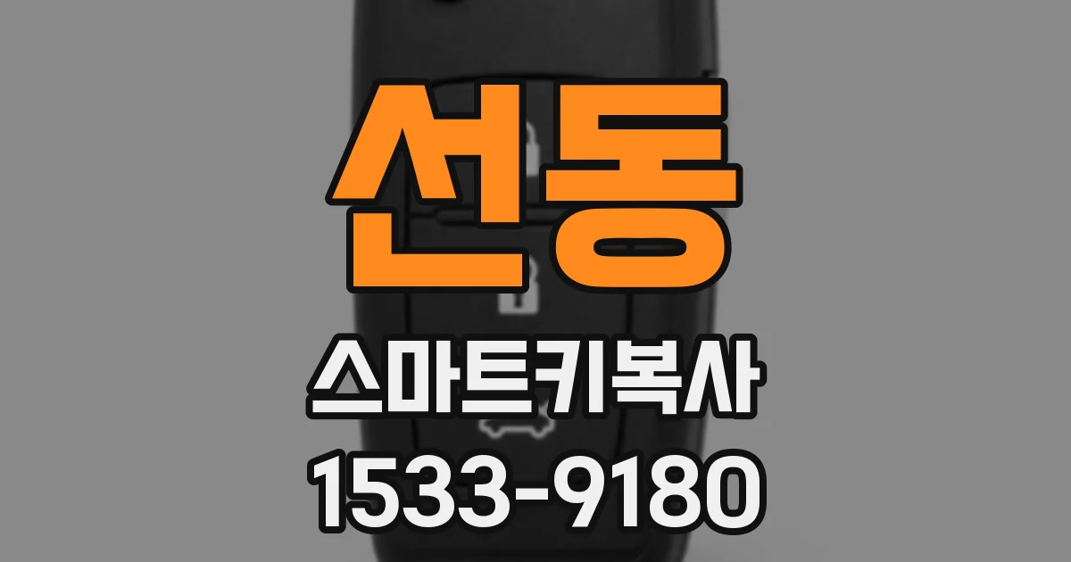 선동 스마트키복사