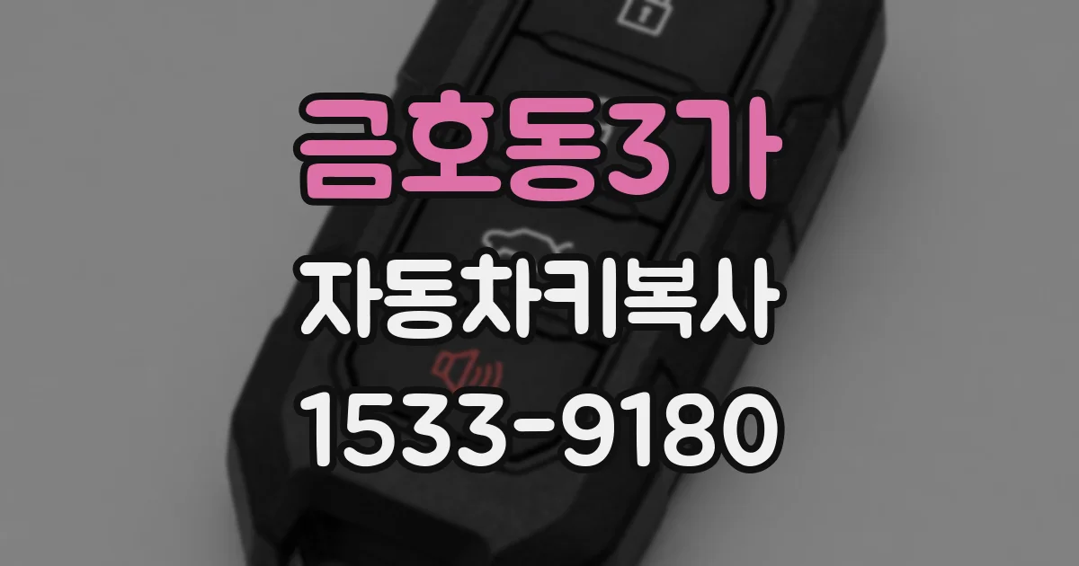 금호동3가 자동차키복사