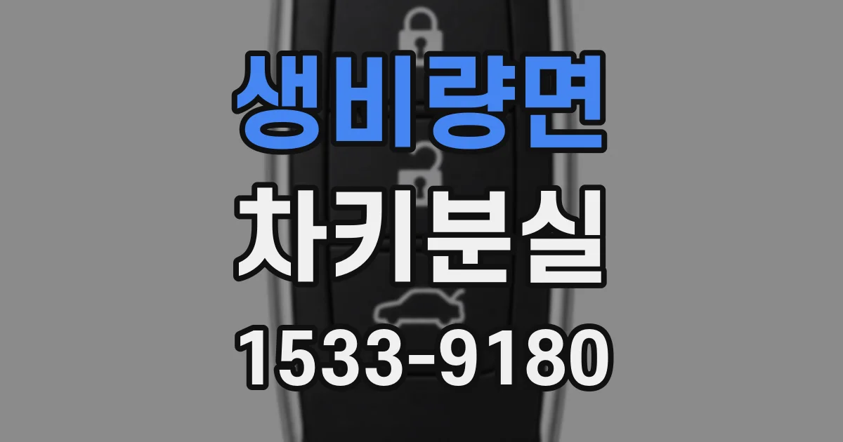 생비량면 차키분실
