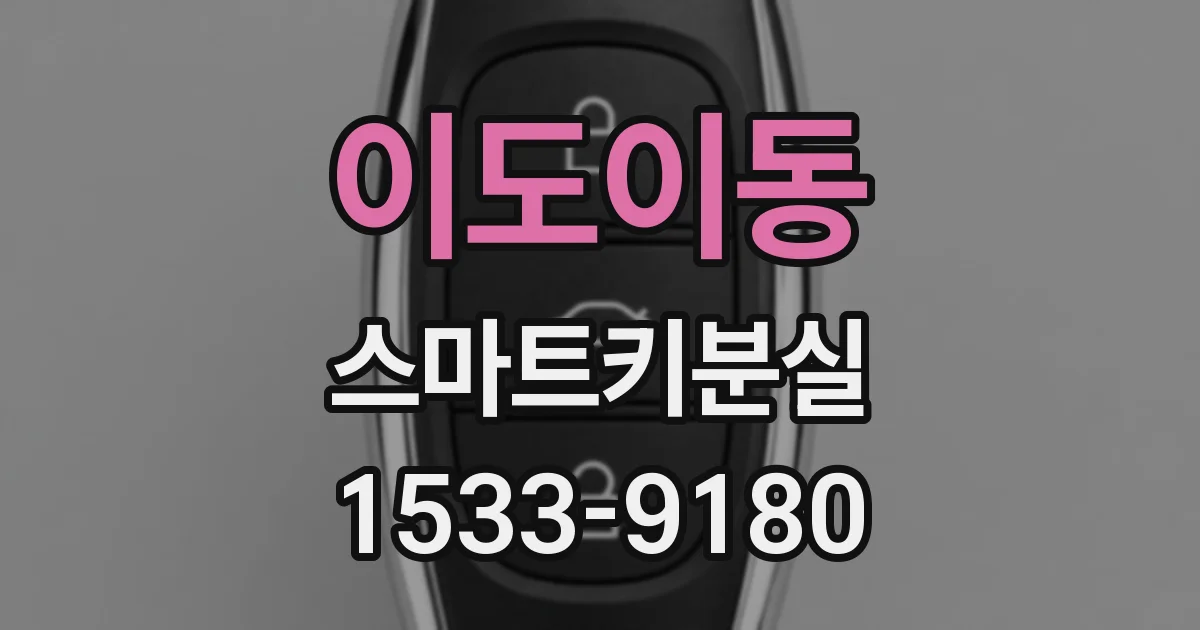 이도이동 스마트키분실